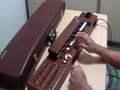 SUZUKI スズキ 電子大正琴 和楽 TES-100
