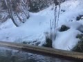 北海道ニセコ鯉川温泉の露天風呂（女性用）２
